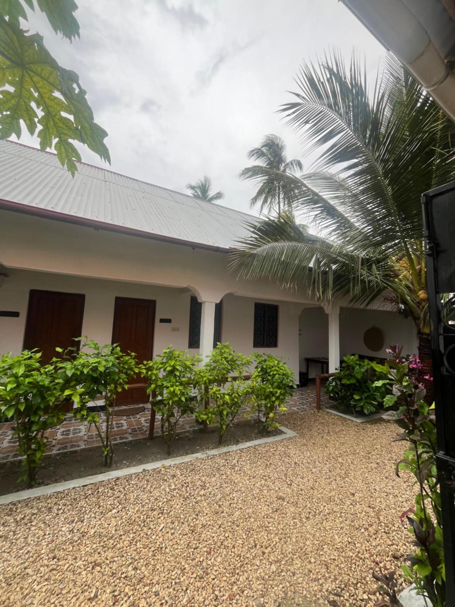 Fish House Nungwi Bed & Breakfast Luaran gambar